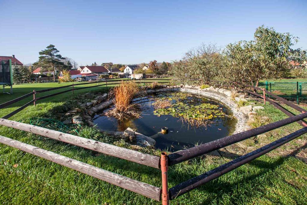 Agropenzion U Bartousku Malíkovice Exteriör bild